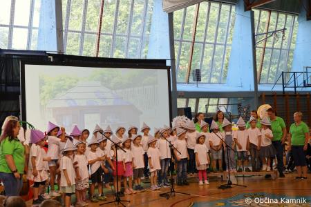 Tradicionalni Veronikin festival v znamenju »Slovenske vasi« (28)